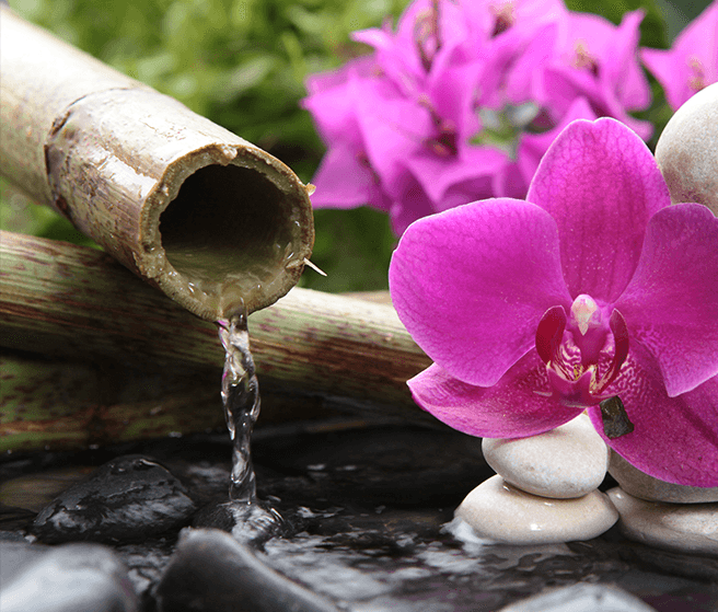 Eau bambou et fleurs 